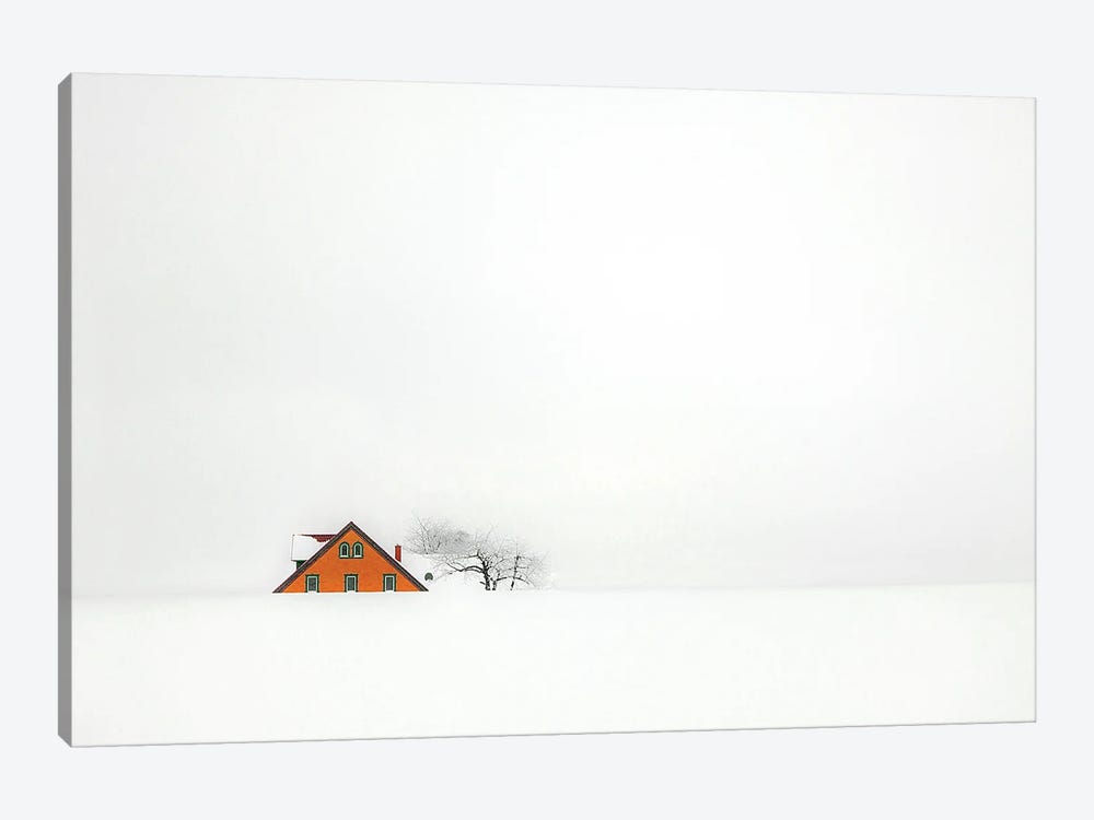 Snowbound  by Rolf Endermann 1-piece Canvas Art Print