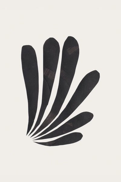 Feathers: Parrot Feathers by EnShape