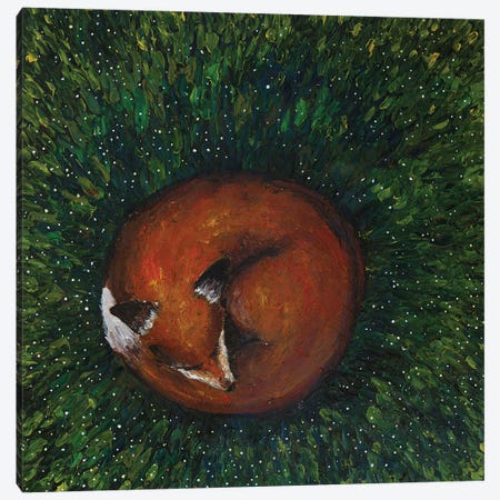 Sleeping Fox Canvas Print #ENV10} by Evgenia Smirnova Canvas Art Print