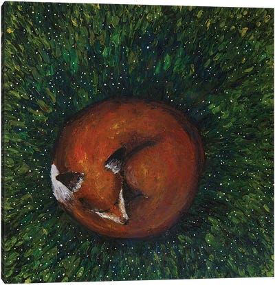 Sleeping Fox Canvas Art Print - Evgenia Smirnova