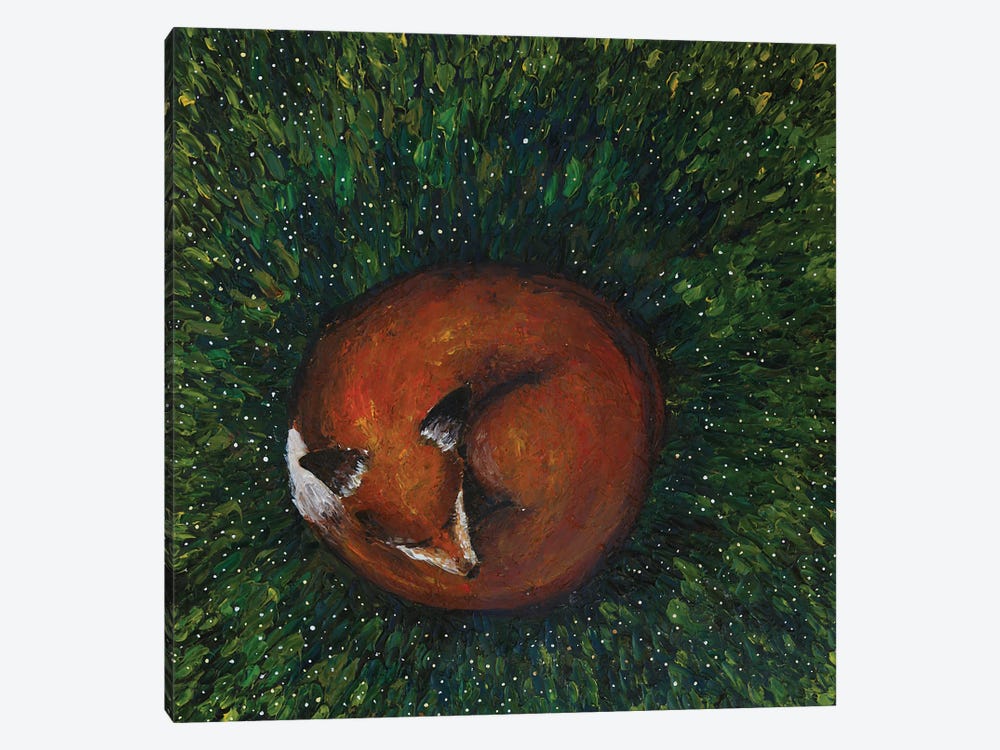 Sleeping Fox by Evgenia Smirnova 1-piece Canvas Art Print