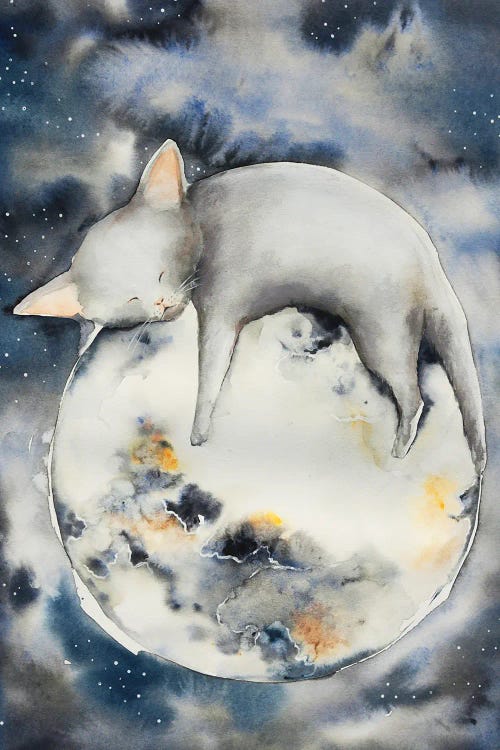 Sleeping On The Moon by Evgenia Smirnova wall art