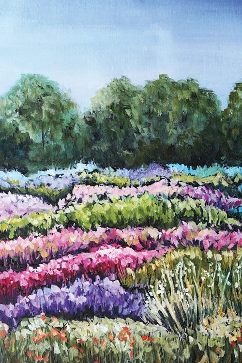Flower Field