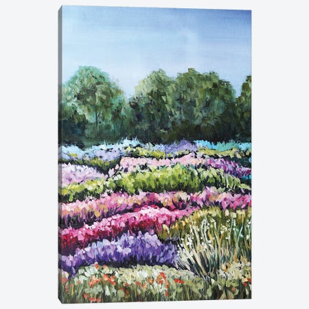 Flower Field Canvas Print #ENV56} by Evgenia Smirnova Canvas Artwork