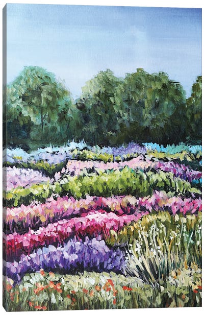 Flower Field Canvas Art Print - Evgenia Smirnova