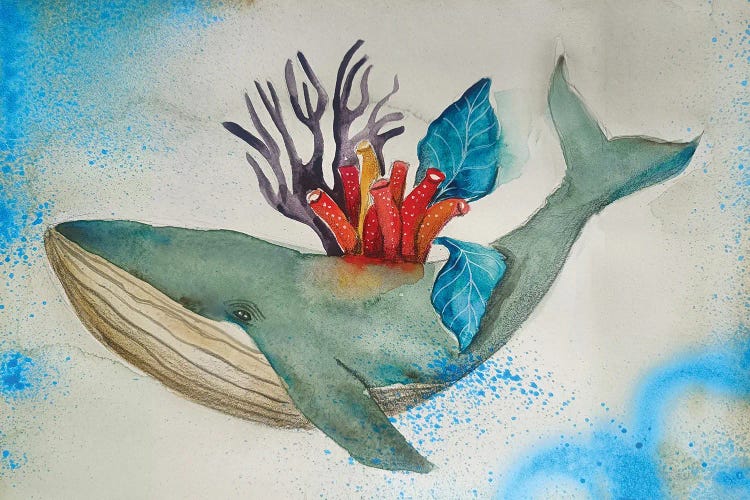 Whale With Corals