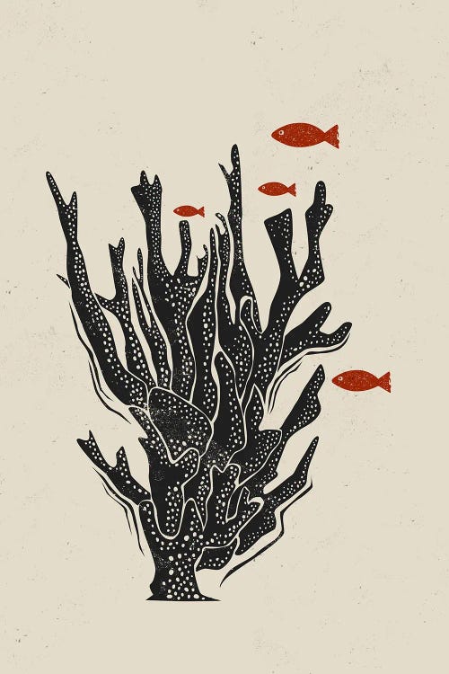 Coral