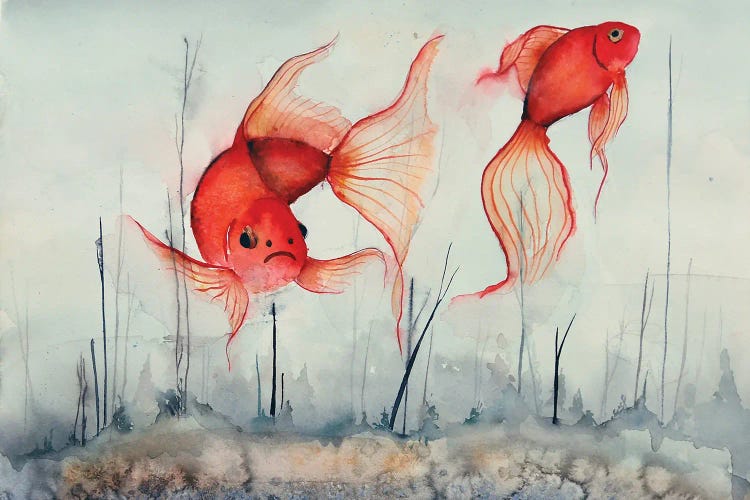 Red Fishes In The Fog