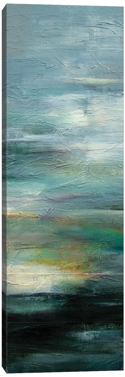 After The Storm Canvas Art Print - Erin Young