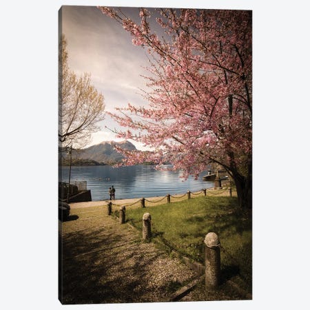 Sakura On Lake Como Canvas Print #ENZ109} by Enzo Romano Canvas Art Print