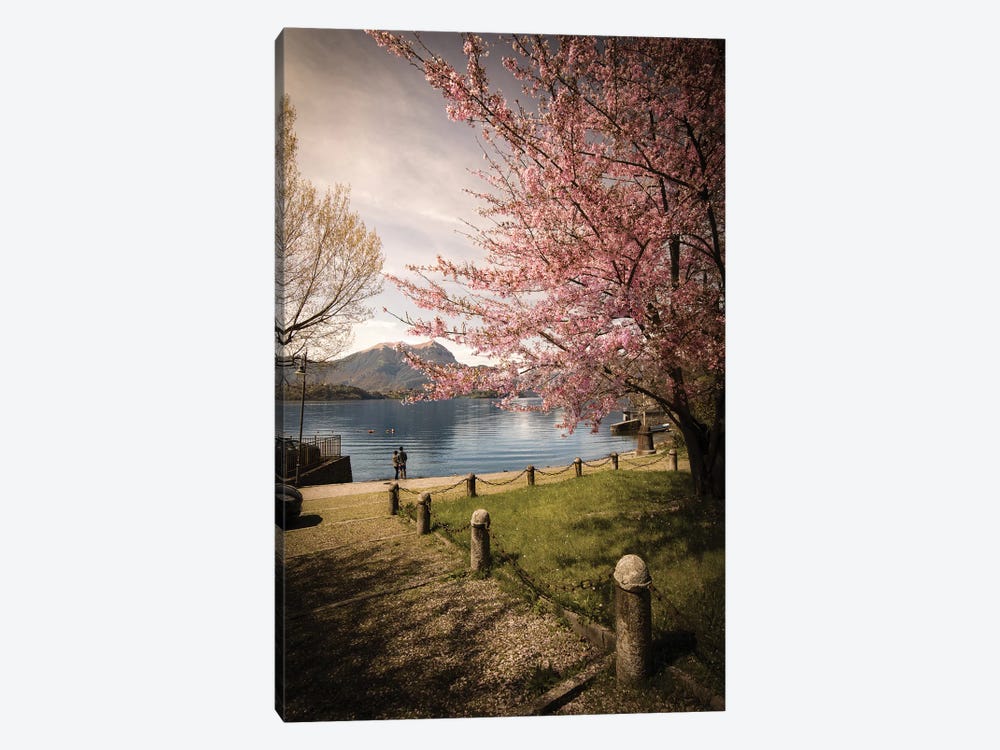 Sakura On Lake Como by Enzo Romano 1-piece Canvas Print