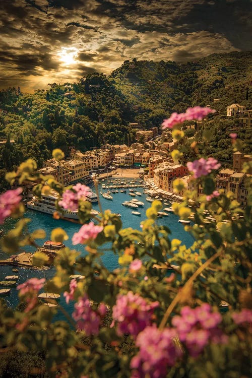 Portofino With Flowers