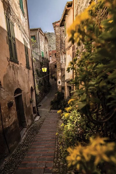 Liguria: Badalucco, Liguria, Italy by Enzo Romano