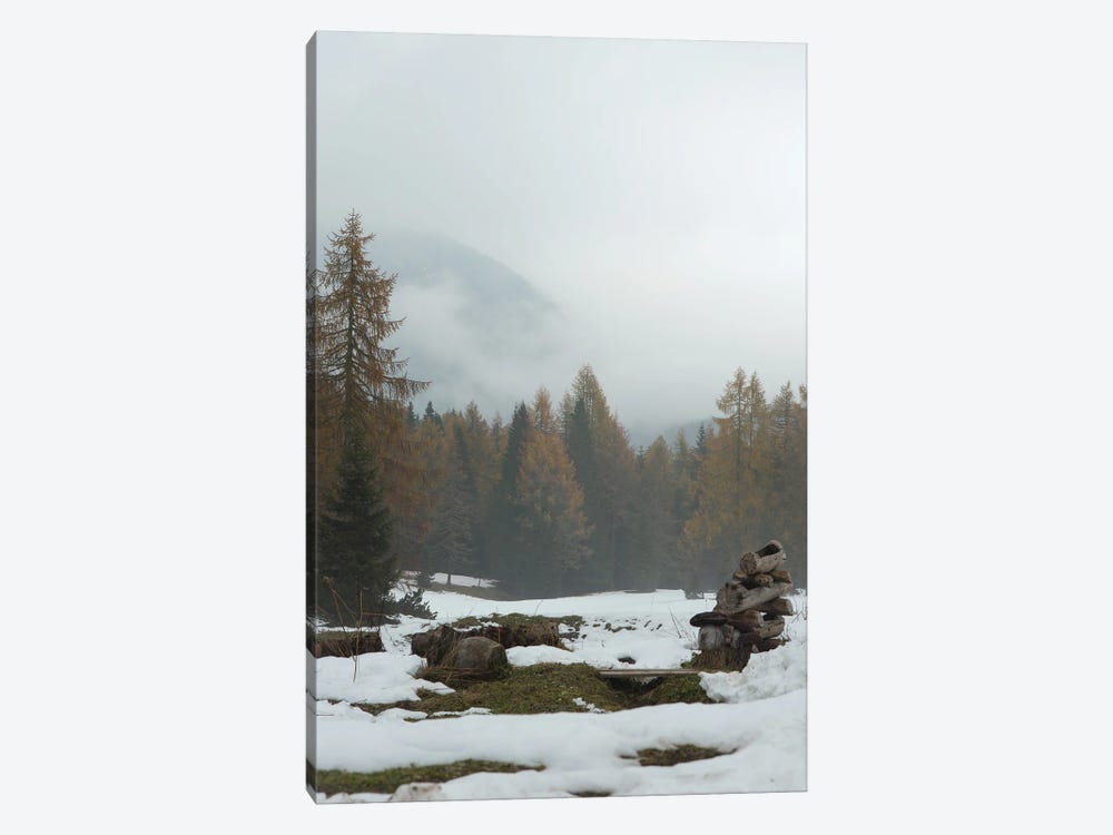 Autumn Or Winter by Enzo Romano 1-piece Canvas Print