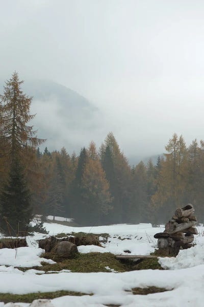 Atmospheric Photography: Autumn Or Winter by Enzo Romano
