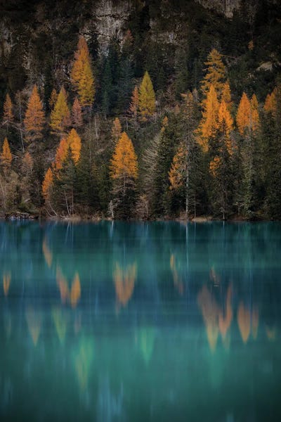 Autumn Reflections by Enzo Romano art print