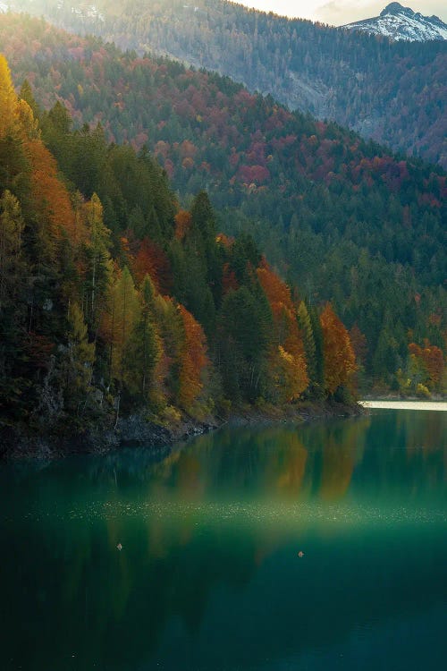 Lake Sauris Autumn