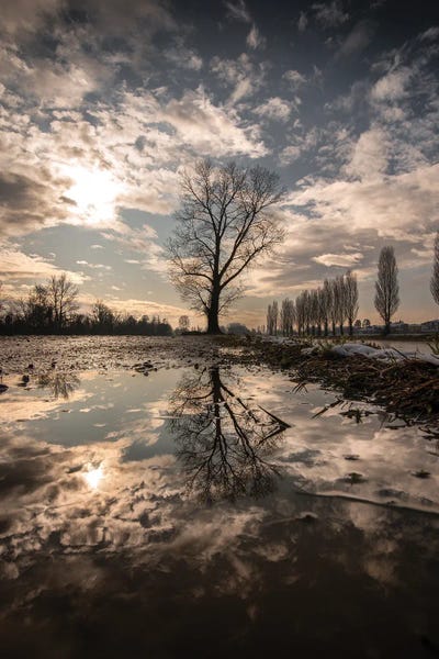 Enzo Romano: Reflections by Enzo Romano