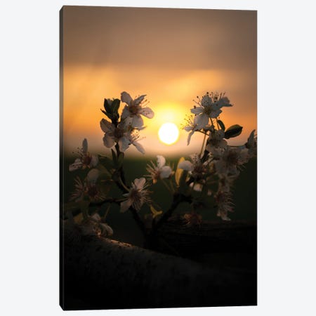 Sunset Canvas Print #ENZ185} by Enzo Romano Canvas Wall Art