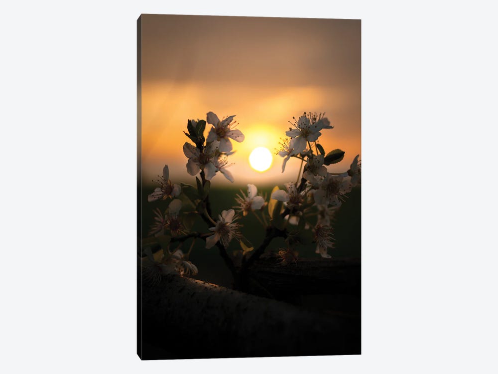 Sunset by Enzo Romano 1-piece Canvas Print