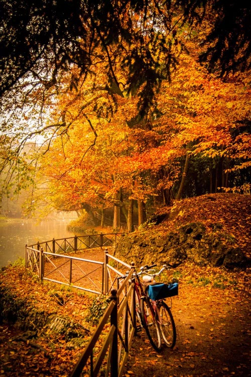 Parco di Monza (Monza Park), Northern Italy by Enzo Romano wall art