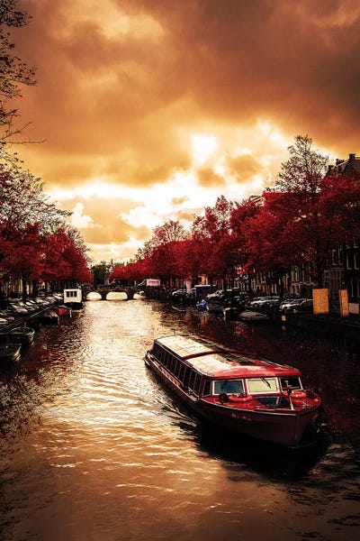 Netherlands: Red Leaves In Amsterdam by Enzo Romano