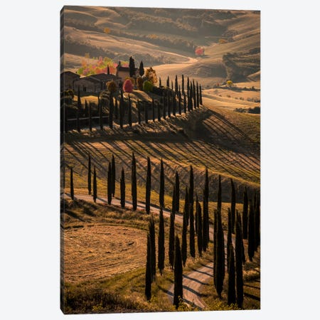 Val d'Orcia, Tuscany In Autumn Canvas Print #ENZ26} by Enzo Romano Canvas Print