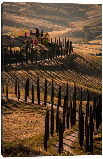 Val d'Orcia, Tuscany In Autumn Canvas Art Print - Enzo Romano