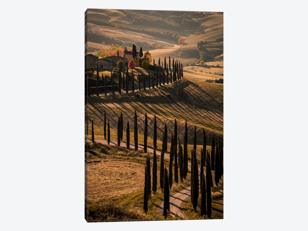 Val d'Orcia, Tuscany In Autumn by Enzo Romano 1-piece Canvas Wall Art