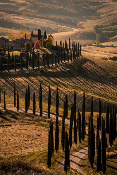 Enzo Romano: Val d'Orcia, Tuscany In Autumn by Enzo Romano