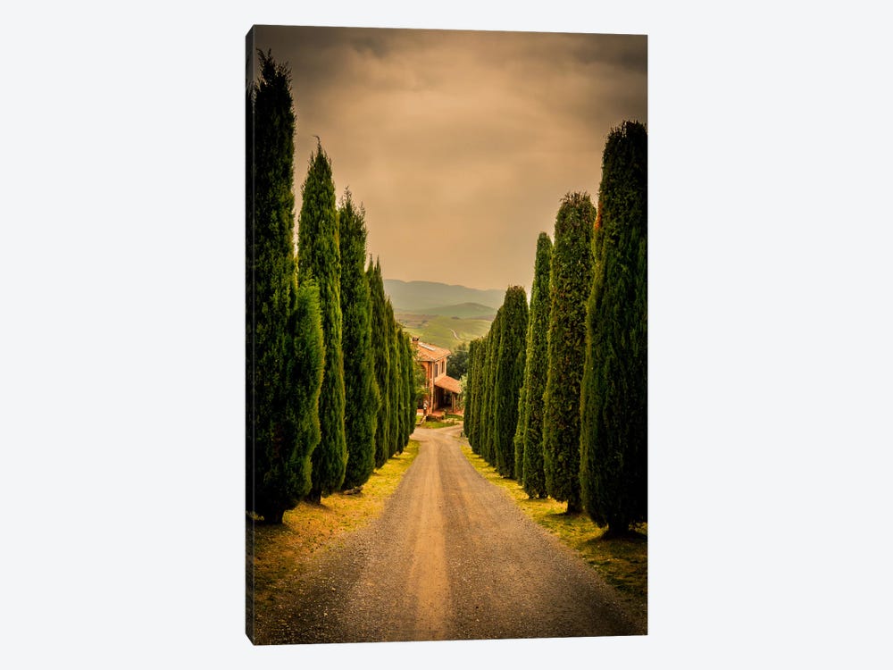 Val d'Orcia, Tuscany by Enzo Romano 1-piece Canvas Art Print
