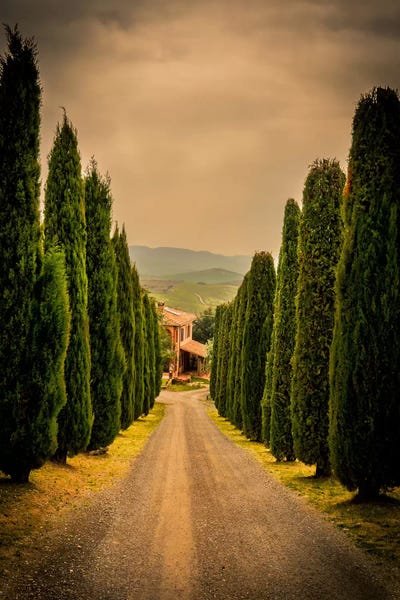 Enzo Romano: Val d'Orcia, Tuscany by Enzo Romano