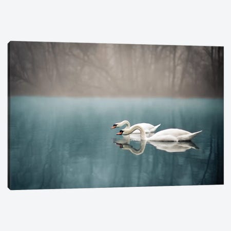 Swan's River Canvas Print #ENZ45} by Enzo Romano Art Print