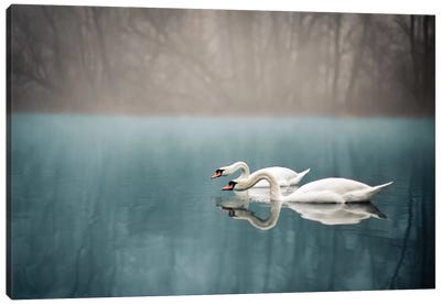 Swan's River Canvas Art Print - Mist & Fog Art