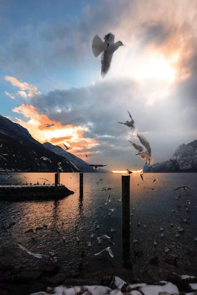 Torbole by Enzo Romano acrylic art print