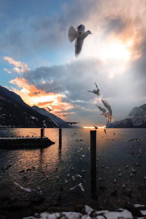 Torbole by Enzo Romano wall art