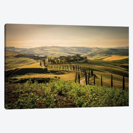 Toscana Asciano Canvas Print #ENZ47} by Enzo Romano Art Print