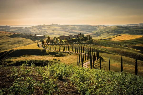 Enzo Romano: Toscana Asciano by Enzo Romano