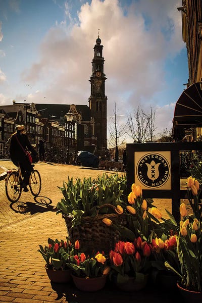 Tulips: Amsterdam V by Enzo Romano