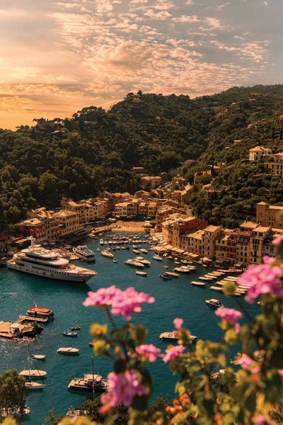 Enzo Romano: Portofino with flower by Enzo Romano
