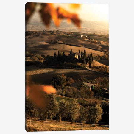 Val d'Orcia Canvas Print #ENZ87} by Enzo Romano Canvas Print