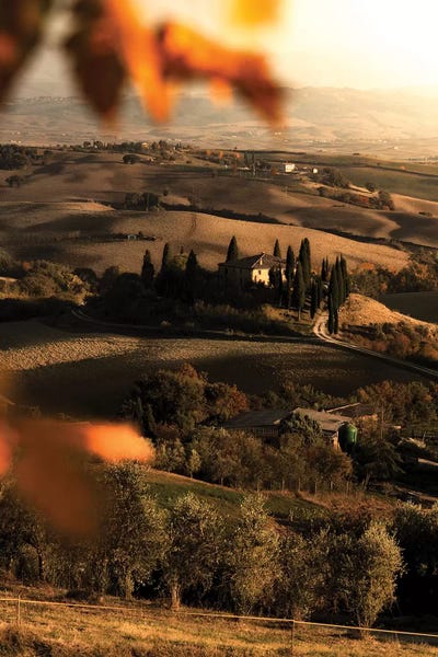 Enzo Romano: Val d'Orcia by Enzo Romano