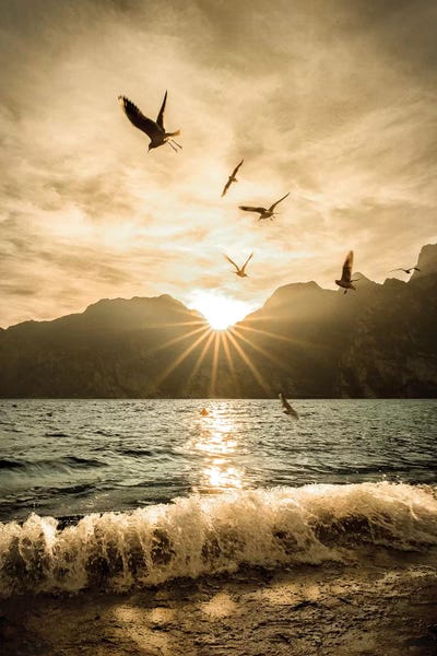 Calm: Lake Of Garda Torbole by Enzo Romano