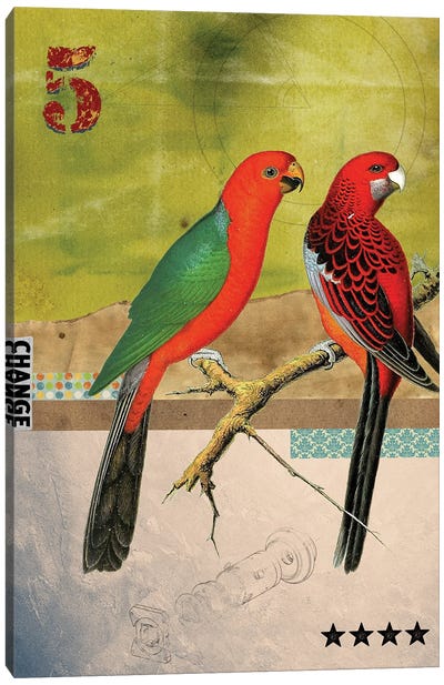 Birds Canvas Art Print - Elo Marc