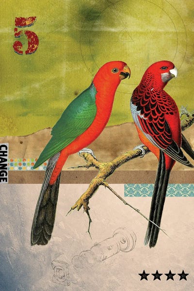 Vintage Animal Illustrations: Birds by Elo Marc