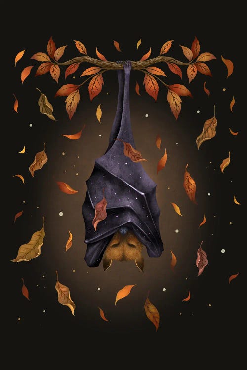 Autumn Bat by Episodic Drawing wall art
