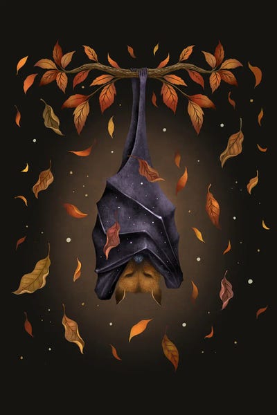 Bats: Autumn Bat by Episodic Drawing