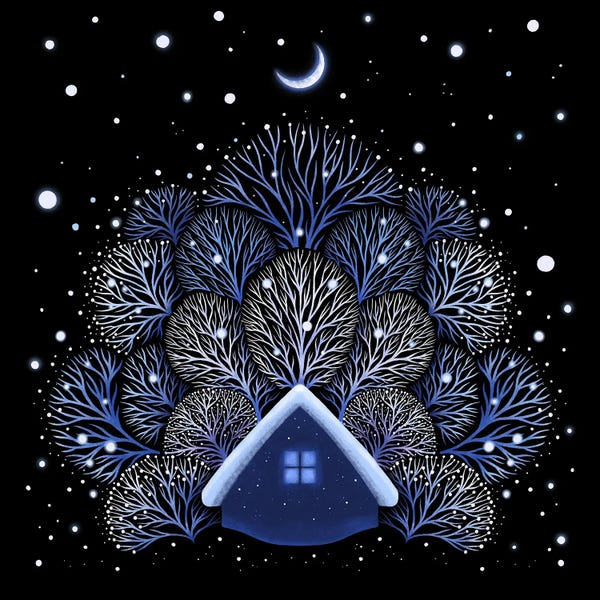 Snow House
