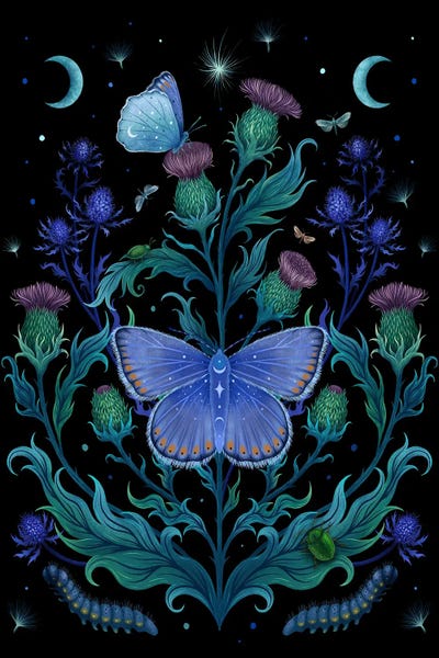 Thistle Home by Episodic Drawing framed wall art