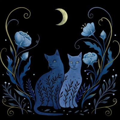 Two Cats by Episodic Drawing framed wall art